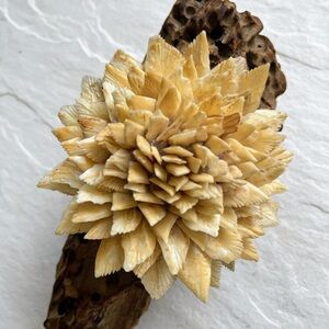 Driftwood and coral decor piece.